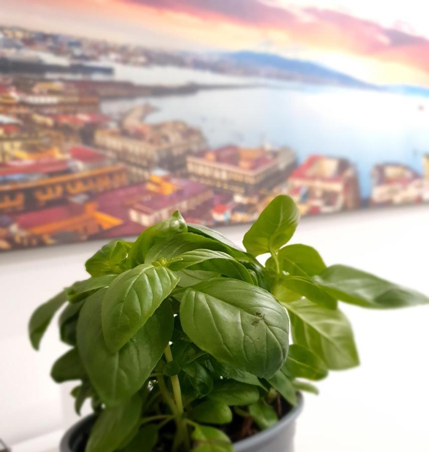 Gaisa Naples - Bed And Breakfast 外观 照片